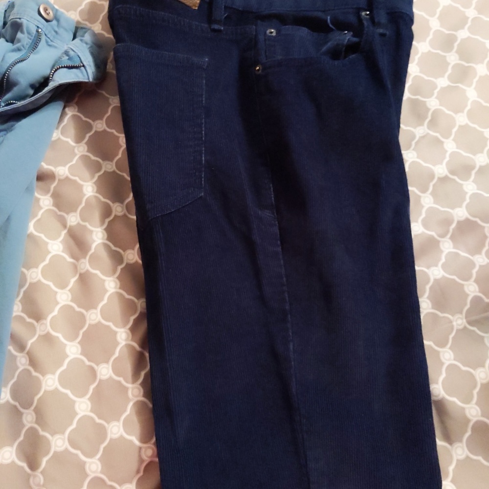 Lot of 2 express pants one Chino pants and 1 corda